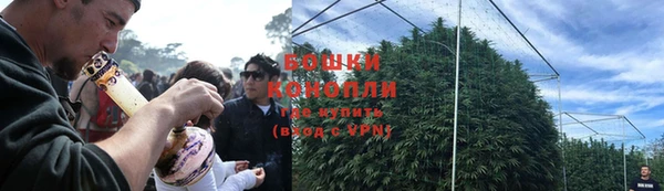 прущие крисы Красноперекопск