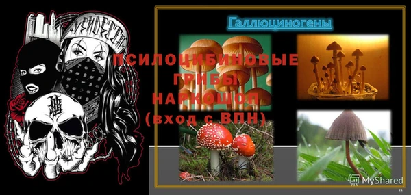 прущие крисы Красноперекопск