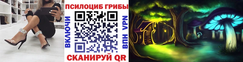 дарнет шоп  нарко площадка формула  Галлюциногенные грибы Psilocybe  Тогучин 